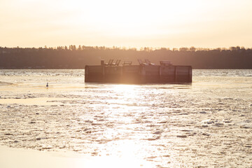 Obraz premium Snow goose standing on the frosted St. Lawrence River next to a wooden platform during a golden hour winter morning 