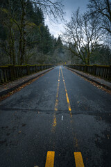 Fototapeta premium road in the autumn