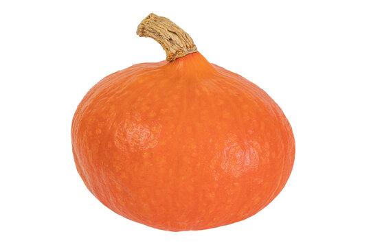 potimarron en gros plan isol&eacute; sur un fond blanc