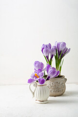 Spring flowers in pot and pitcher saffron