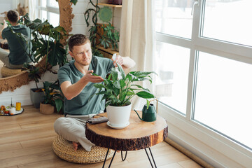 Middle age man taking care of plants at home. Concept of home gardening.