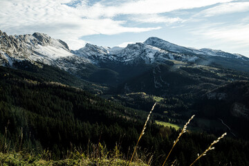Paysages du Vercors sur le plateau des 4 montagnes