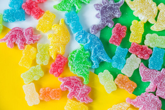 Dinosaurs and bear colorful jelly bonn, color background