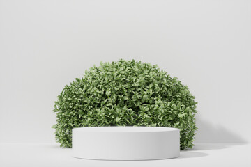 Empty podium Blank product shelf standing backdrop.