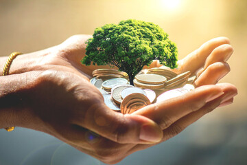 The concept of money growing from coins in the hands of businessmen - pictures