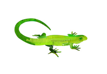 Application "Lizard" on a white background. Children's creativity