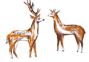 Two spotted deer on a white background. Children's drawing