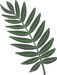 simplicity eucalyptus leaf freehand drawing.
