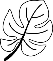Fototapeta premium monstera leaf freehand drawing.