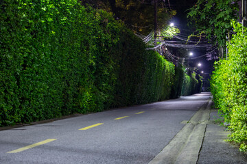 empty street with a road and a hedge	