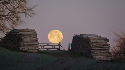 Full moon over a gate 
