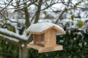 wooden bird house