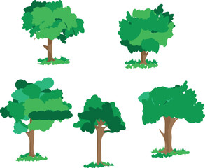 set of different types of trees