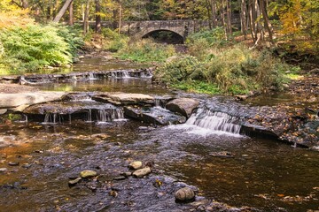waterfall in the forest
