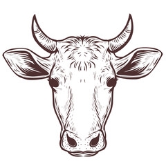 Vintage hand drawn cow head vector