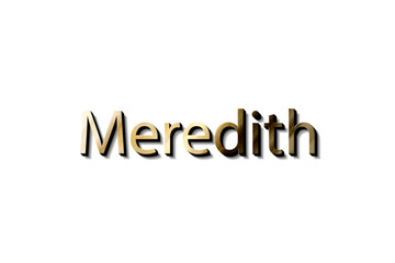 MEREDITH NAME 3D 
