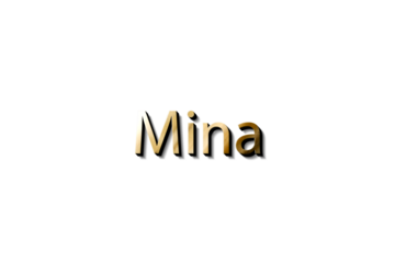 MINA NAME 3D