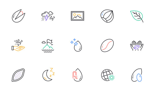 Hazelnut, Coffee beans and Peanut line icons for website, printing. Collection of Water drop, Mountain flag, Leaf icons. Fair trade, No alcohol, Cocoa nut web elements. Moon, Photo. Vector