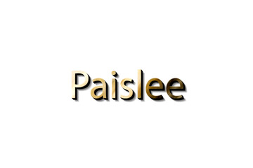 PAISLEE NAME 3D