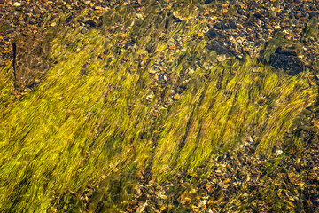 colorful stones around geysers at Yellowstone National Park 
