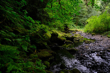 Beaver Creek - Clatskanie, OR