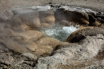Geyser at Yellowstone National Park