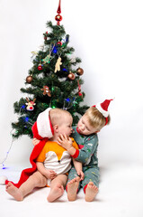 Small children brother and sister sit and kiss under a Christmas tree on a white background.