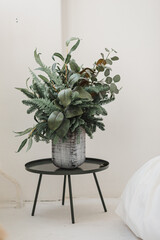 New Year's tree bouquet in a vase in the interior. White background. Pine branches.