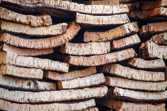 Near view of corc slices in rows