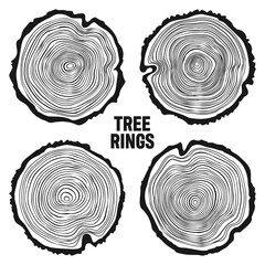 Fototapeta premium Round tree trunk cuts, sawn pine or oak slices, lumber. Saw cut timber, wood. Wooden texture with tree rings. Hand drawn sketch. Vector illustration