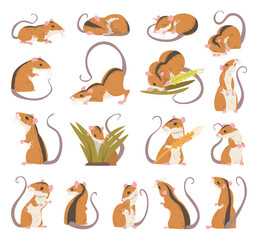Field Mouse as Small Rodent with Long Tail and Dorsal Black Stripe Big Vector Set