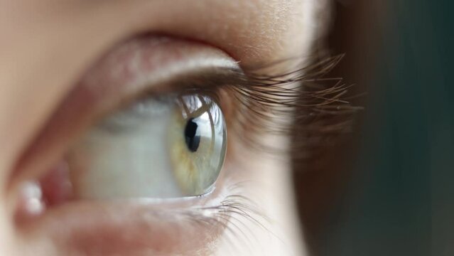 macro female eye, eyelashes and close-up eyes, light pupils, blinks