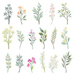 Floral Branches with Blooming Flower and Leafy Stem Big Vector Set