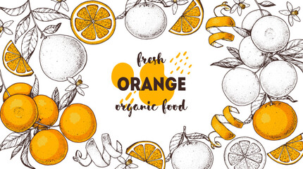 Orange fruit hand drawn design. Vector illustration. Design, package, brochure illustration. Orange fruit frame illustration. Design elements for packaging design and other.
