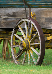 Old western wagon wheel and cart resting on green grass