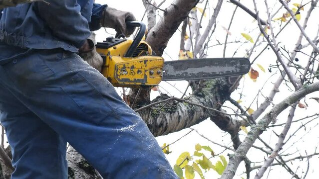 4k v&iacute;deo Hombre de elevada edad cauc&aacute;sico le&ntilde;ador  arrancando la motosierra amarilla para cortar le&ntilde;a