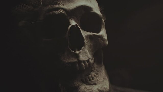Zoom into a zombie skull nose cavity. Underground, night. Cinematic video transition. Photorealistic 3D animation. 
