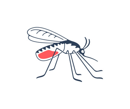 Mosquito, insects, animals, nature and medicine, graphic design. Gnat, insect bloodsucking, pest infectious parasitic spreading, malaria and disease, vector design and illustration