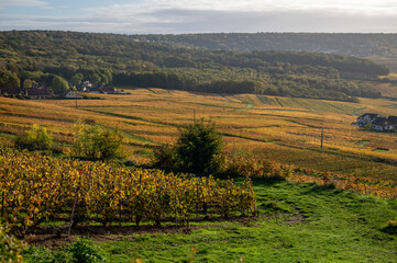 Fototapeta na wymiar Panoramic autuimn view on champagne vineyards and village Hautvillers near Epernay, Champange, France