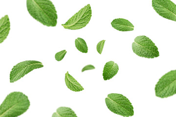 Falling mint leaves, spearmint, isolated on white background, selective focus - obrazy, fototapety, plakaty