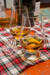 Tulip-shaped tasting glass with dram of Scotch single malt or blended whisky on wooden table with tartan - obrazy, fototapety, plakaty