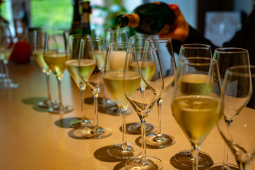 Tasting of brut and reserve champagne sparkling wine produced by traditional method in underground caves in Champagne, France