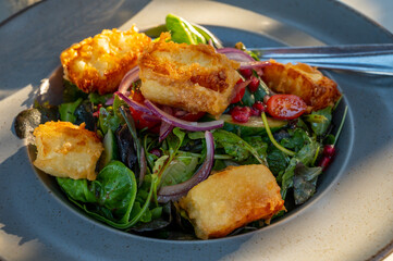 Healthy vegetarian Mediterranean food, Grilled Halloumi cheese Salad with green lettuce, onion and cucumber