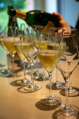 Tasting of brut and reserve champagne sparkling wine produced by traditional method in underground caves in Champagne, France
