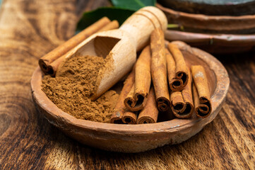 Indian spices collection, dried aromatic cinnamon barks and another spices in clay bowls