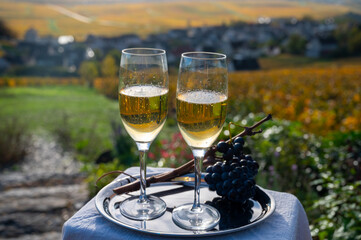 Tasting of premier cru sparkling white wine with bubbles champagne on outdoor terrace with view on colorful vineyards in Hautvillers in October, near Epernay, France