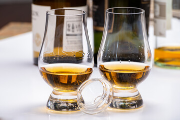 Tasting of whiskey, tulip-shaped tasting glasses with dram of Scotch single malt or blended whisky on white table