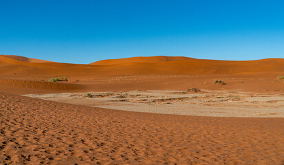Fototapeta na wymiar amazing desert view in Namibia with a lone tree