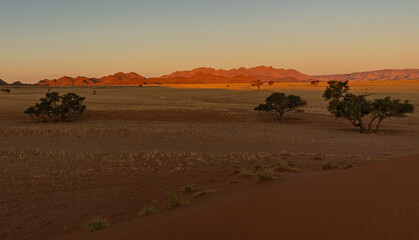 Fototapeta na wymiar sunrise in the desert with colourful sand dunes in the namib desert in Namibia