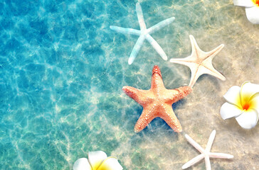Fototapeta na wymiar Starfish and flower on the summer beach in sea water. Summer background.